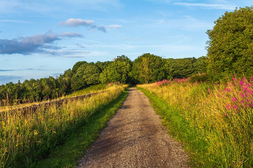 High Peak Trail